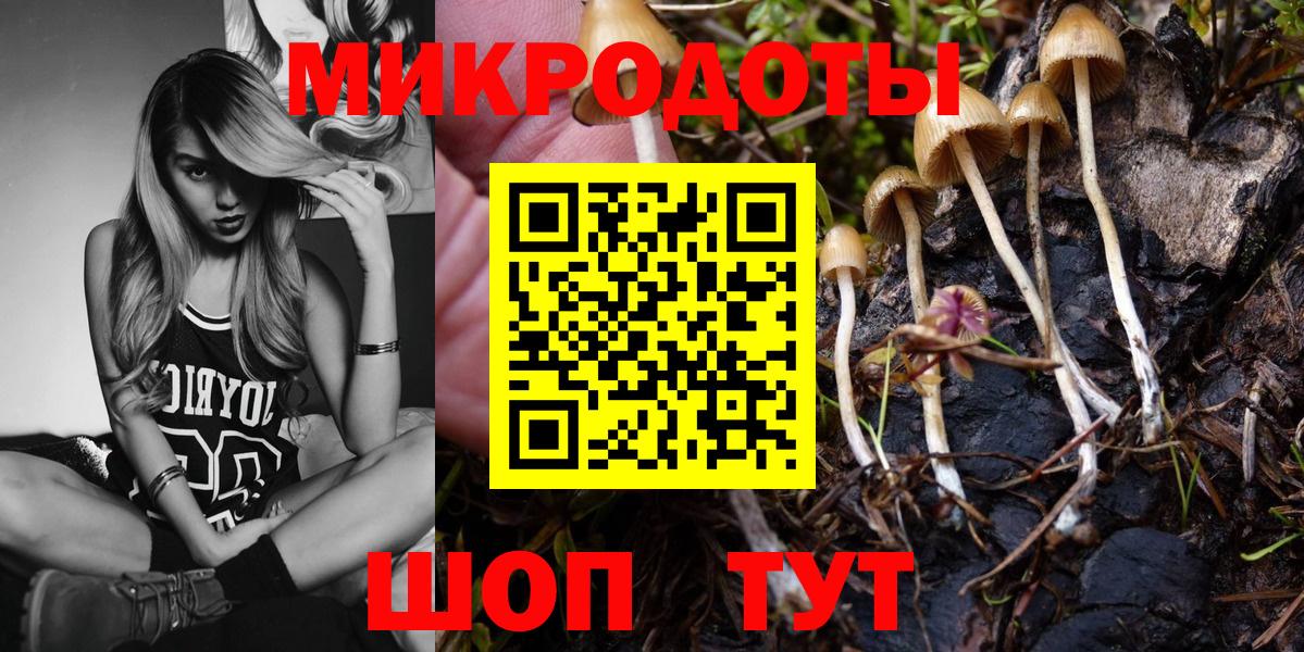 Псилоцибиновые грибы прущие грибы Тулун