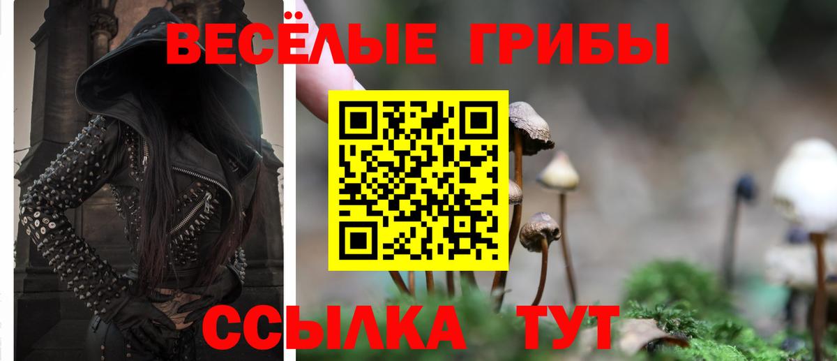 Тулун  Галлюциногенные грибы MAGIC MUSHROOMS  Вход с VPN 